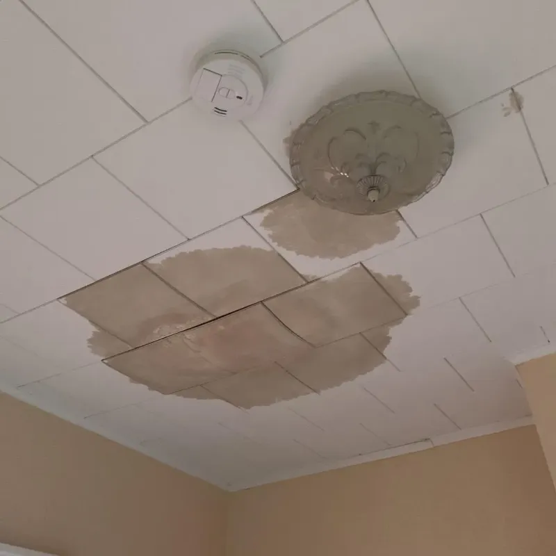 Ceiling Water Damage Repair in Stanly County, NC