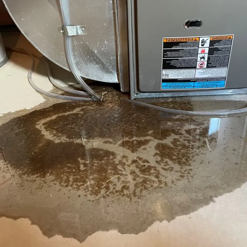 Pipe Burst and Leak Restoration in Stanly County, NC