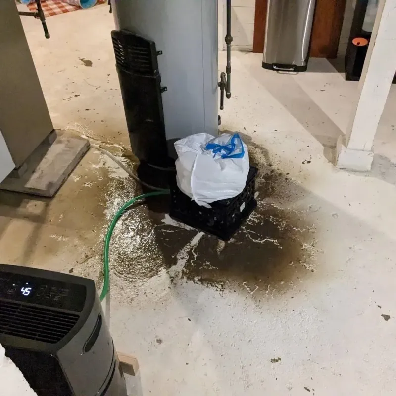 Sewage Backup Cleanup Service in Stanly County, NC